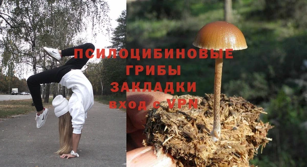 гидропоника Алексин