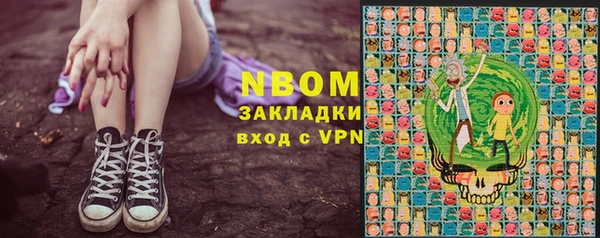 ГАЛЛЮЦИНОГЕННЫЕ ГРИБЫ Алзамай