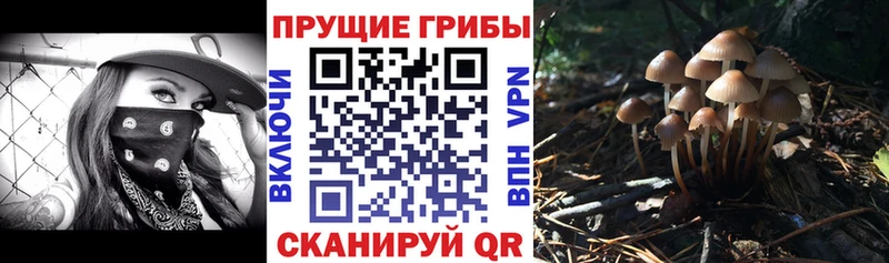 Галлюциногенные грибы мицелий  Пучеж 